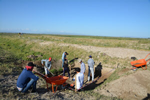 археологическая экспертиза