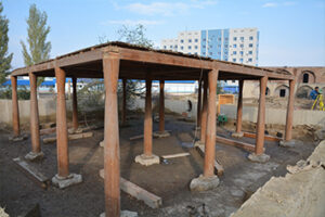 археологическая экспертиза